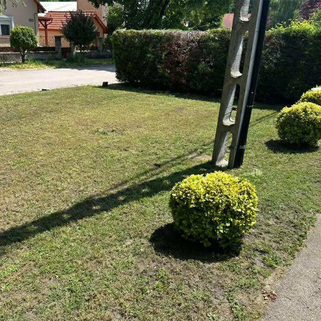Az Edile IMB Kft. által karbantartott utcafronti zöldterület családi házas övezetben – formára nyírt bokrok és frissen nyírt pázsit.
